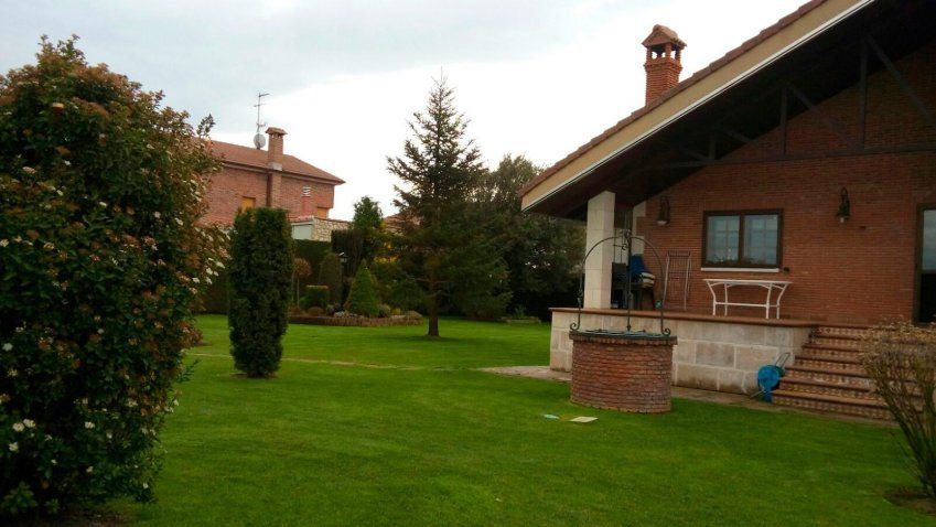 Poda de Plantas, Arbustos y Árboles en Burgos | BECOJARDÍN