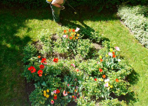 CENTRO DE JARDINERÍA EN BURGOS