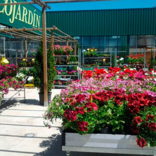 Centro de  jardinería en Burgos