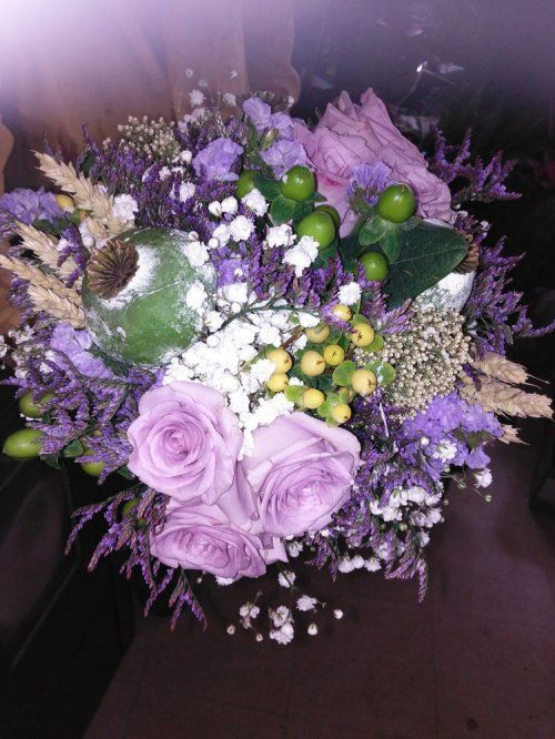 becojardin centro de jardineria en burgos 02