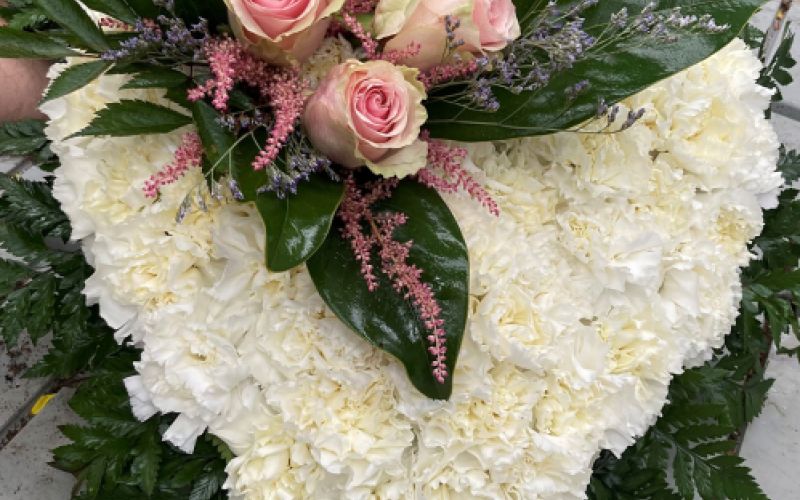 Centro de  jardinería en Burgos