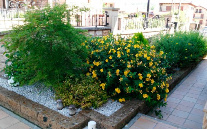 Centro de  jardinería en Burgos