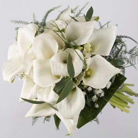 ESPECIAL BODAS