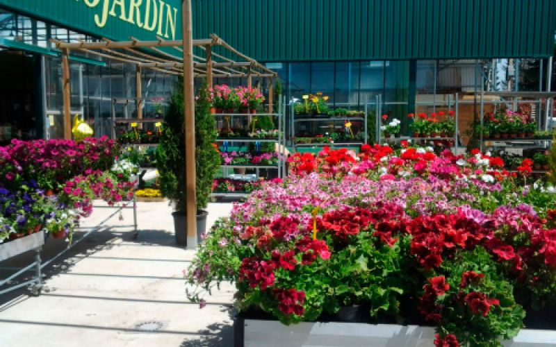 Centro de  jardinería en Burgos