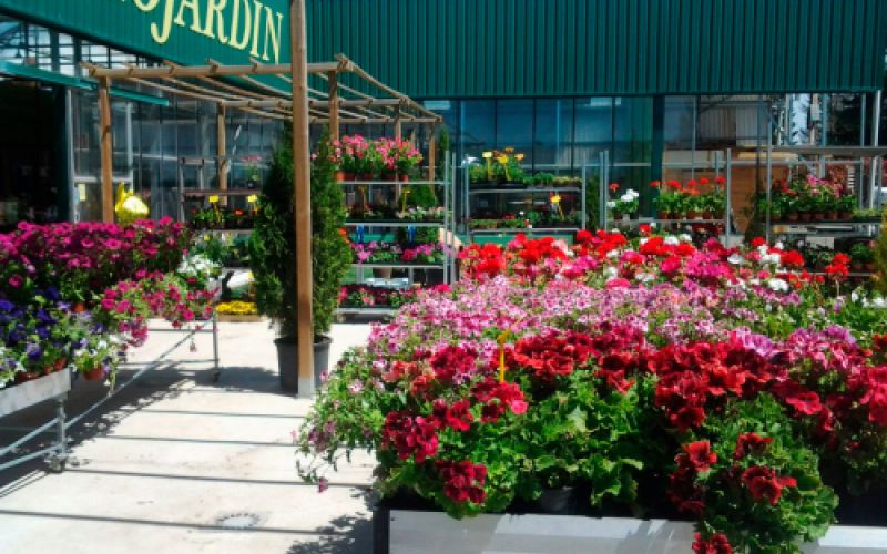 Centro de  jardinería en Burgos