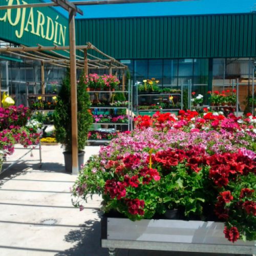 Centro de  jardinería en Burgos